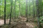 Terre/Terrain