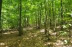 Terre/Terrain