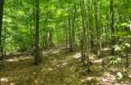 Terre/Terrain