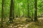 Terre/Terrain
