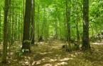 Terre/Terrain