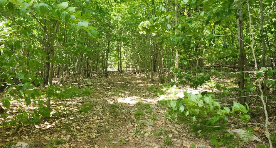 Terre/Terrain