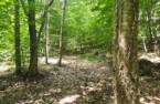 Terre/Terrain