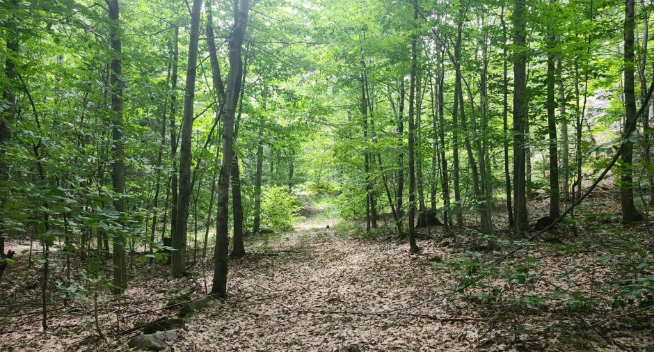 Terre/Terrain