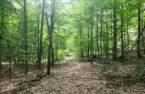 Terre/Terrain