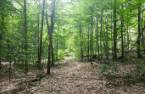 Terre/Terrain