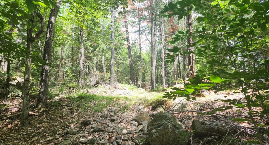 Terre/Terrain