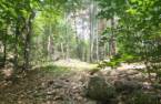 Terre/Terrain