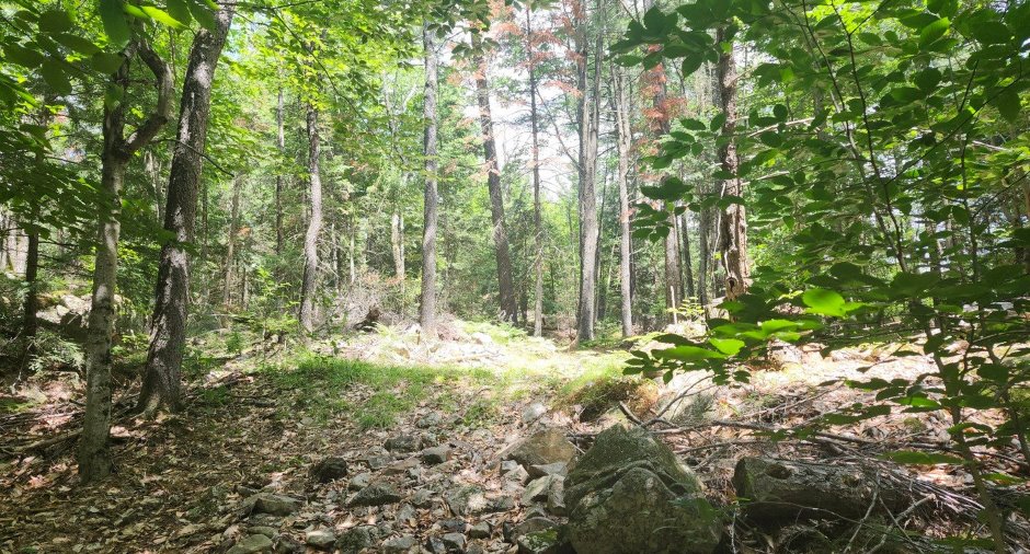 Terre/Terrain