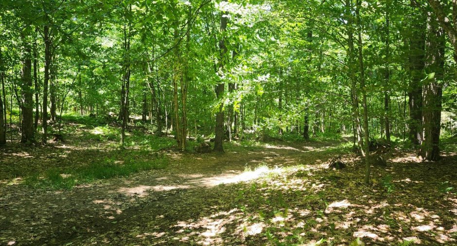 Terre à bois
