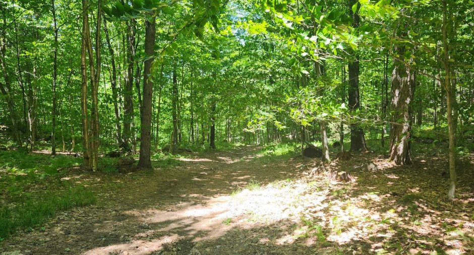 Terre à bois