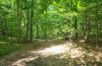 Terre à bois