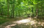 Terre à bois