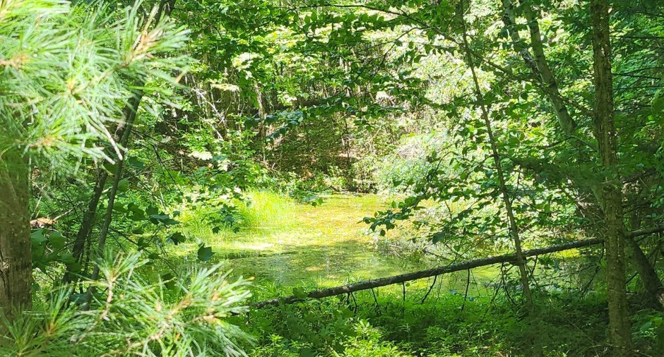 Terre à bois