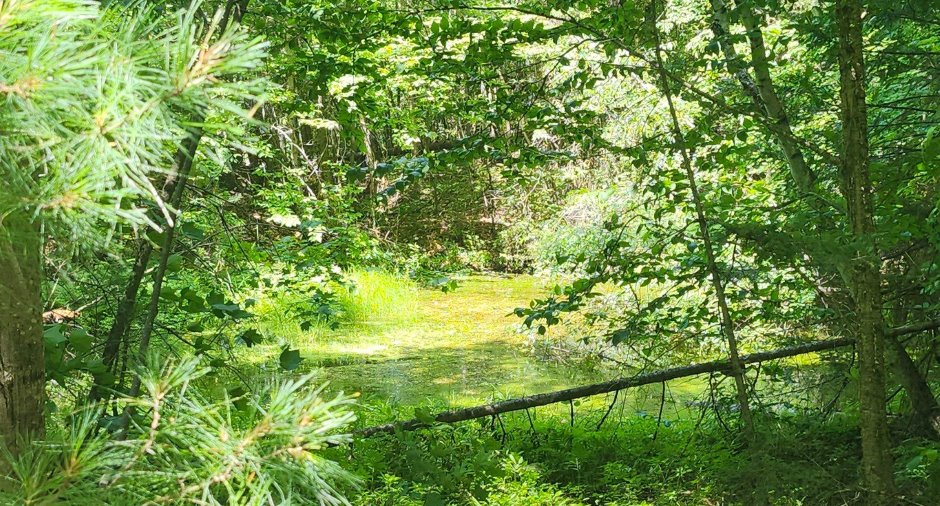 Terre à bois