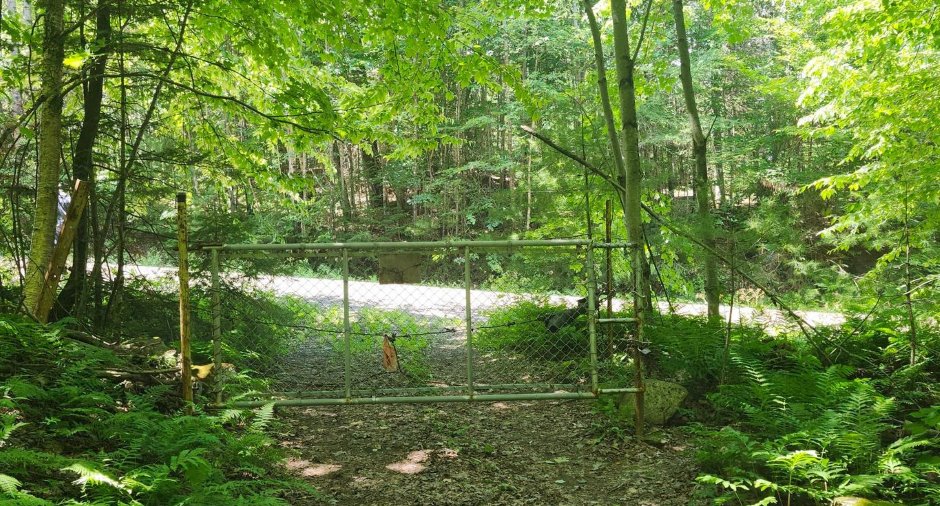 Terre à bois