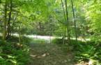 Terre à bois