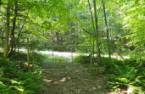 Terre à bois