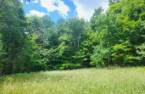 Terre/Terrain