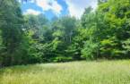 Terre/Terrain