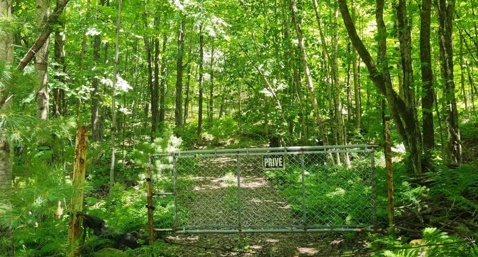 Terre à bois