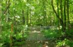 Terre à bois