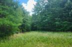 Terre/Terrain