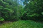 Terre/Terrain