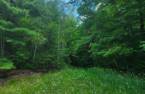 Terre/Terrain