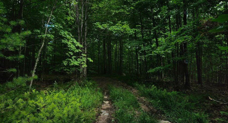 Terre/Terrain