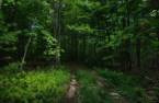 Terre/Terrain
