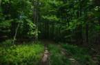 Terre/Terrain