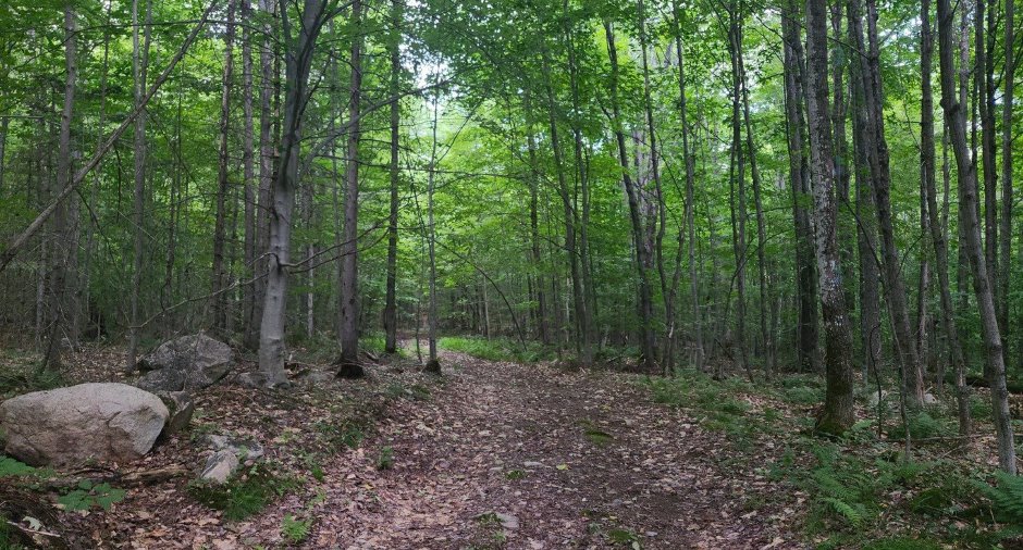 Terre/Terrain