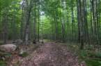Terre/Terrain