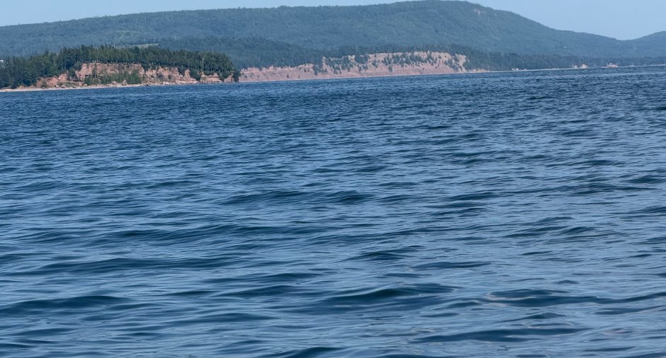Bord de l'eau