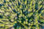 Terre/Terrain