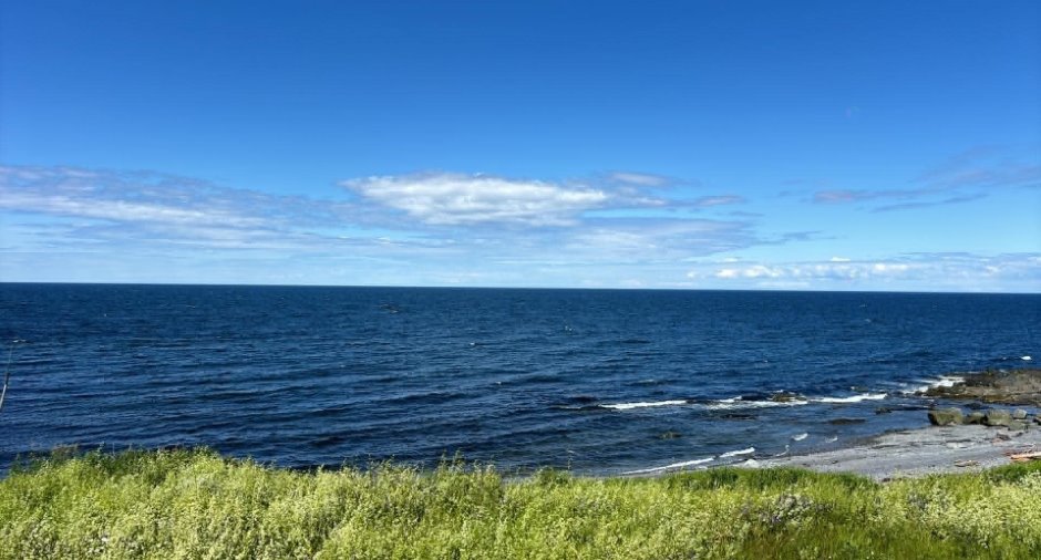 Vue sur l'eau