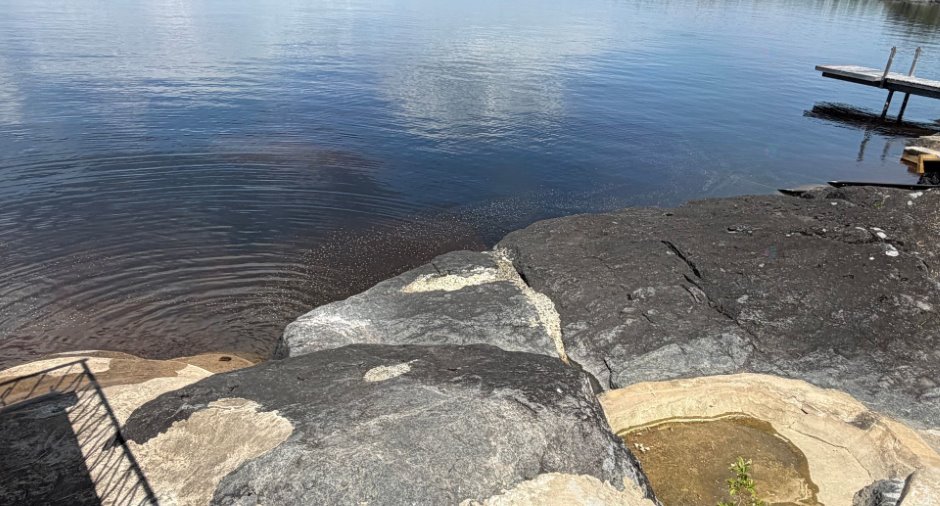 Bord de l'eau