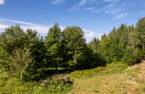 Terre/Terrain