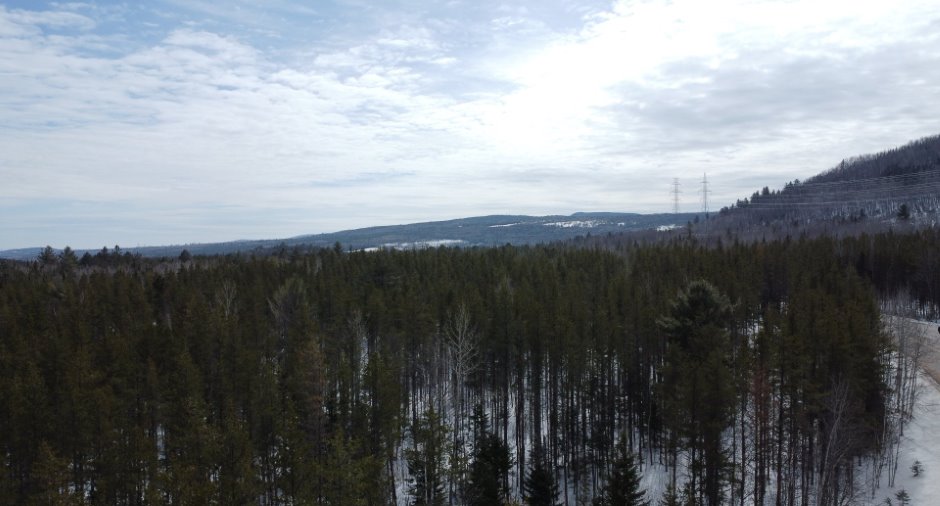 Vue