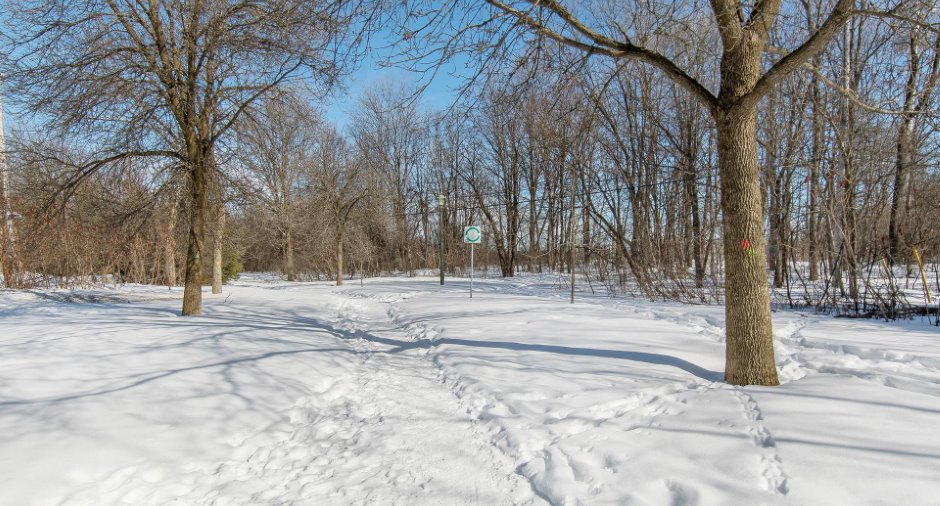 Vue