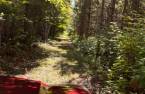 Terre/Terrain