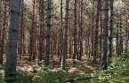 Terre/Terrain