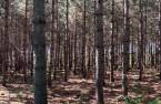 Terre/Terrain