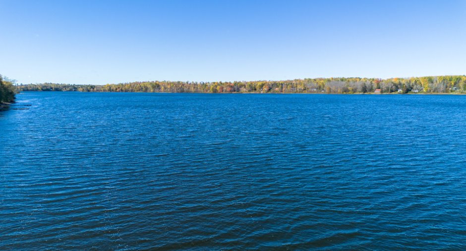 Bord de l'eau