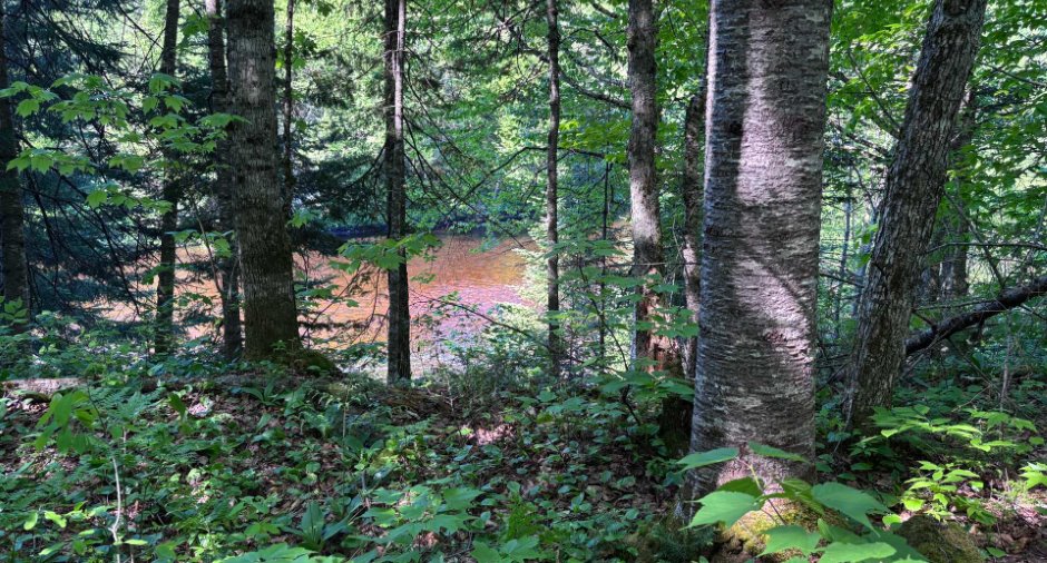 Vue sur l'eau