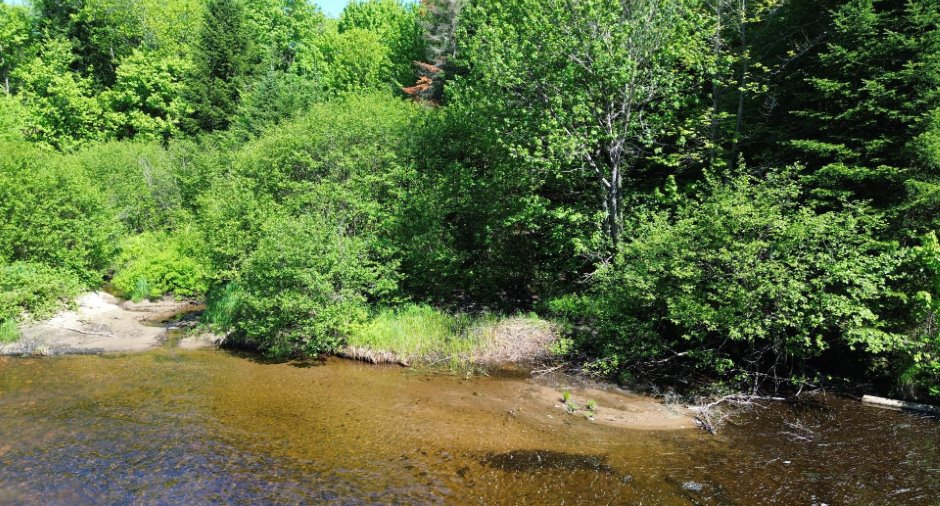 Bord de l'eau