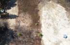 Terre/Terrain