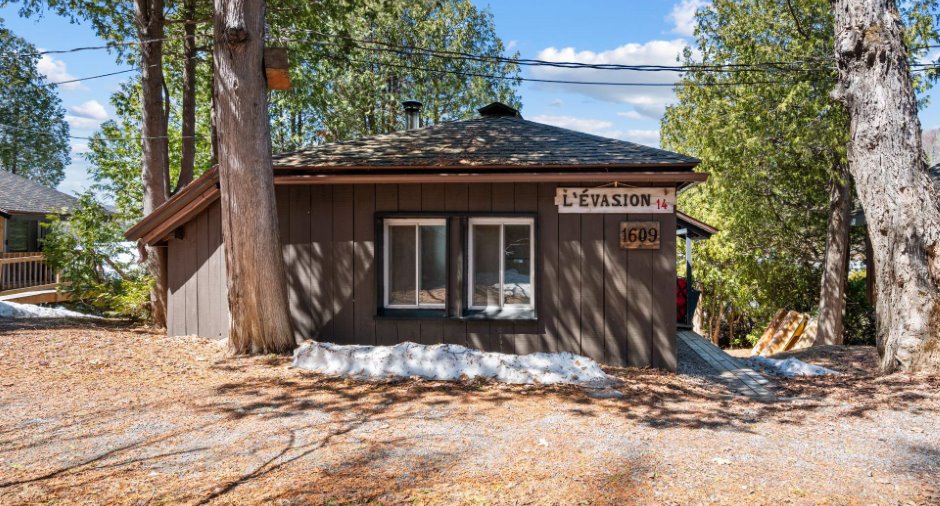 Overall View