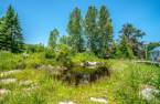 Terre/Terrain